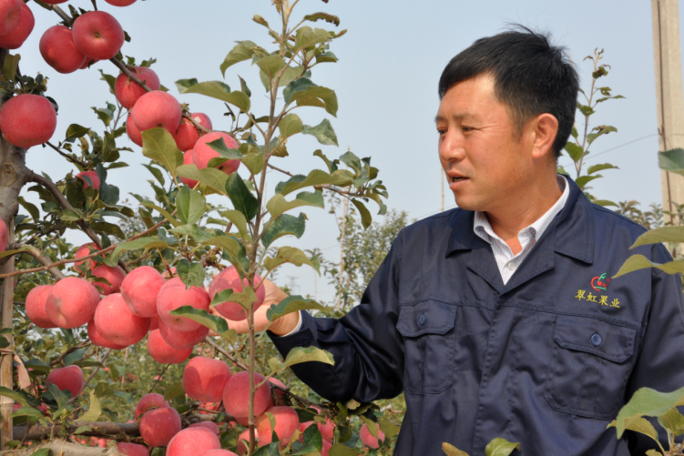 365体育官网岳建东：市首届“十佳”新型职业农民 现代果业的探路人(图1)